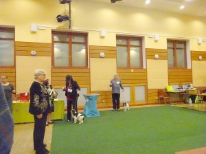 výstava šimanda Gillhespy 123 – kopie