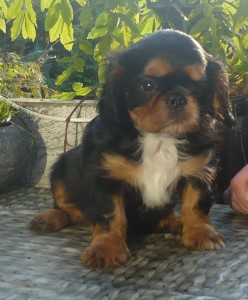 Kilian